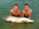 Arapaima at Sawai Lake.