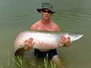 Arapaima at Sawai Lake.