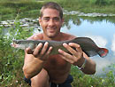 Arapaima at Sawai Lake.