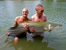 Arapaima from Sawai Lake Phuket.