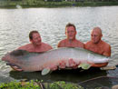 Arapaima from Krabi.