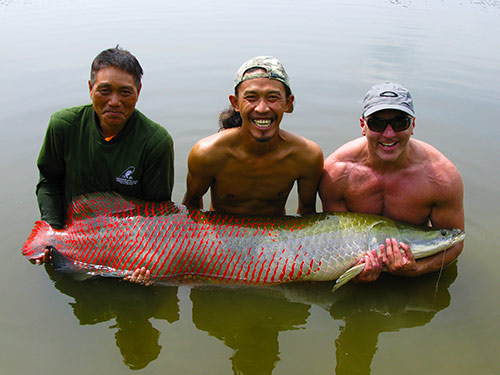 Arapaima from Greenfield Valley Hua Hin.