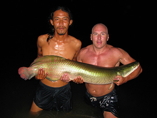 Arapaima after dark.