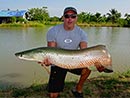 Arapaima from Bangkok Predator Fishing.