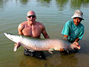 Arapaima from Bangkok Predator Fishing.