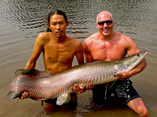 Arapaima from Hua Hin.