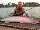 Arapaima on fly from Bangkok Predator Fishing.