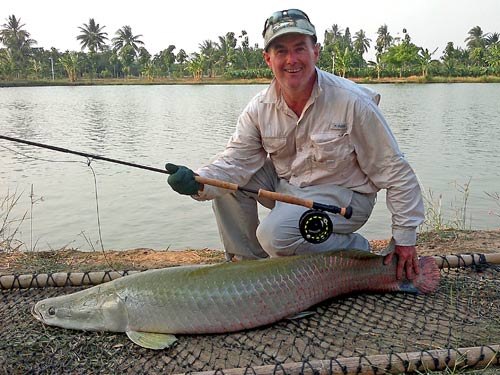 Arapaima on fly