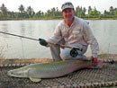 Arapaima on fly from Bangkok Predator Fishing.