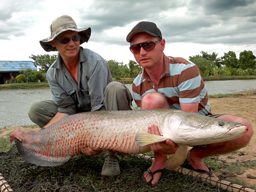 Predator Fishing in Bangkok Thailand for Arapaima - Fishing Khao Lak