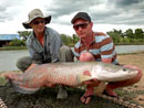 Arapaima from Bangkok Predator Fishing.