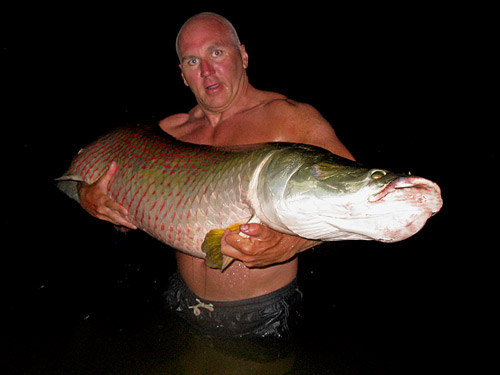 Arapaima from Palm Tree Lagoon.