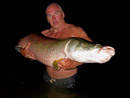 Arapaima from Palm Tree Lagoon.