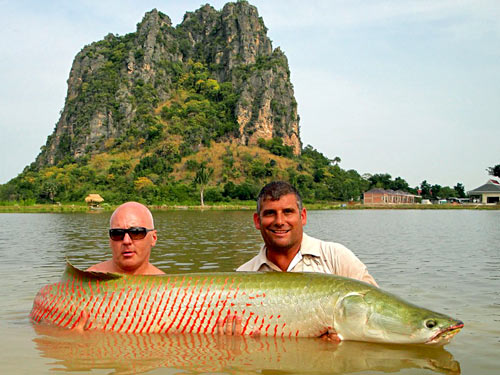 Arapaima from Jurassic Fishing Park.