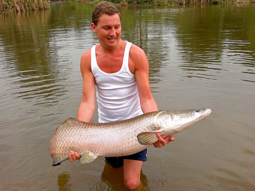 A small Arapaima from Greenfield Valley Hua Hin.