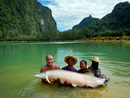 Arapaima from Exotic Fishing Thailand.