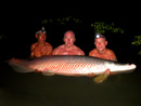 Arapaima from Krabi.