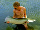 Arapaima Sawai Lake.