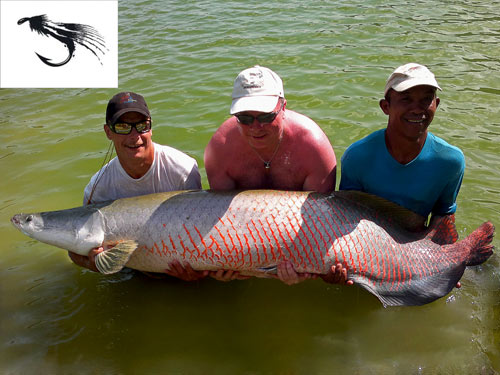 Arapaima on fly.