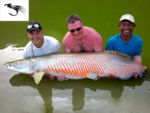 Arapaima caught on fly.