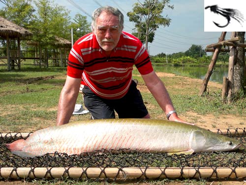 Arapaima on fly