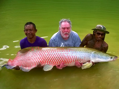 Arapaima at EFT.