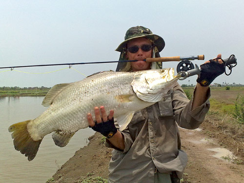 Large Barramundi