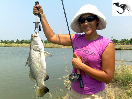 Lady Barramundi fly angler.