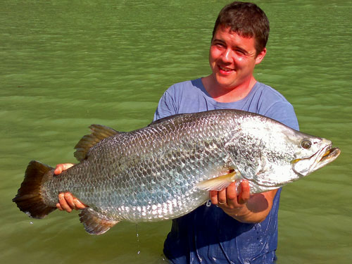 Barramundi from EFT.