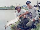 Barramundi from Bangkok.