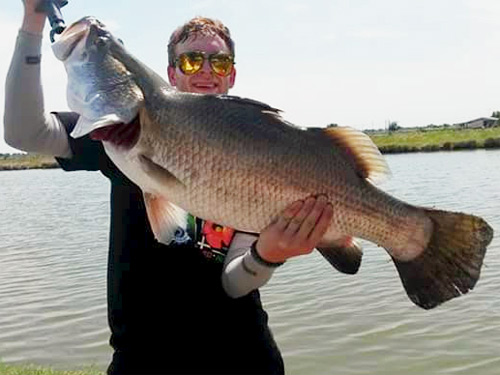 Huge Barramundi!