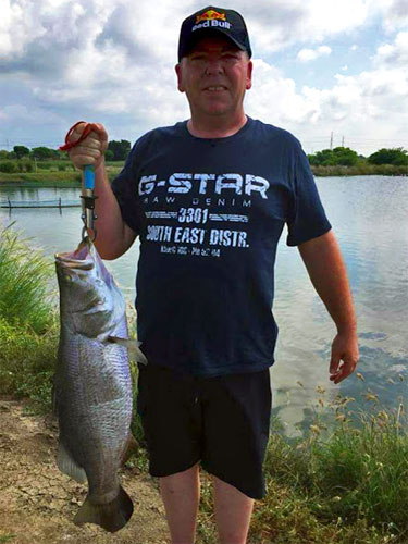 Small Barramundi.