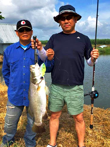 Barramundi.