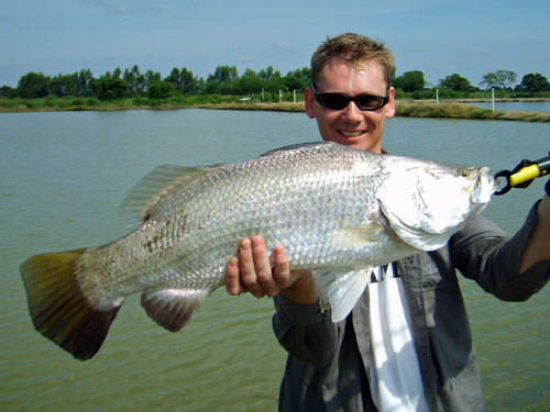 A nice Barramundi on Lure.