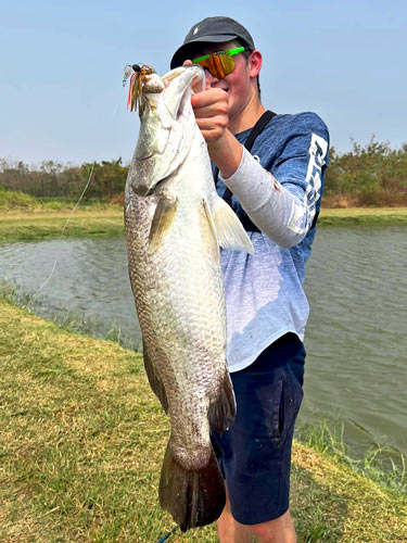 A nice Barramundi.