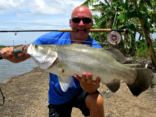 Barramundi from Pilot 111 on fly.