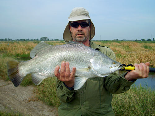 Barramundi from Boon Mar Ponds Bangkok.