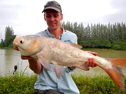 Big Head Carp from Lake Monsters.