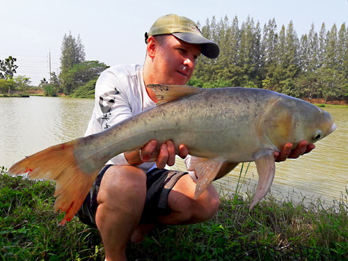 Big head Carp from Lake Monsters.