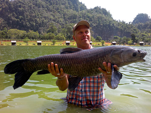 Chinese Black Carp