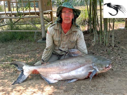 Cheow Phraya Catfish on fly from Bangkok Predator Fishing.