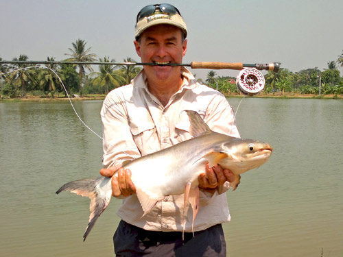 Cheow Phrya Catfish on fly