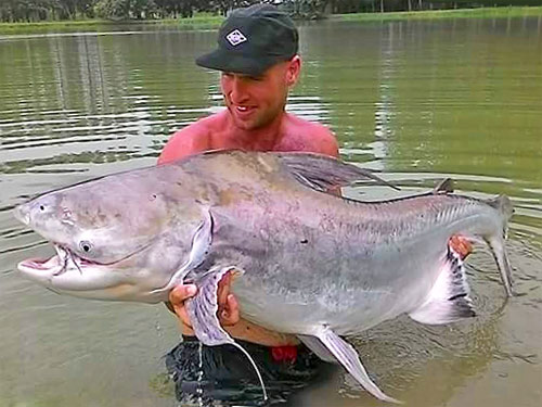 Cheow Phraya Catfish in the afternoon.