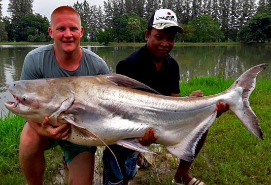 Cheow Phraya Catfish in the morning.