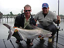 Giant Catfish from Bungsam Lan.