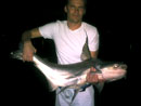 Giant Catfish from Bungsam Lan.