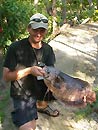 Giant Gourami caught in Phuket.