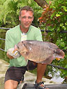 Giant Gourami from Par Lai Lake.