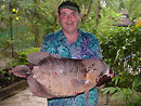 Fishing in Phuket for Giant Gourami.