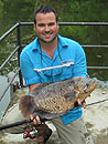 Giant Gourami from Par Lai Lake.